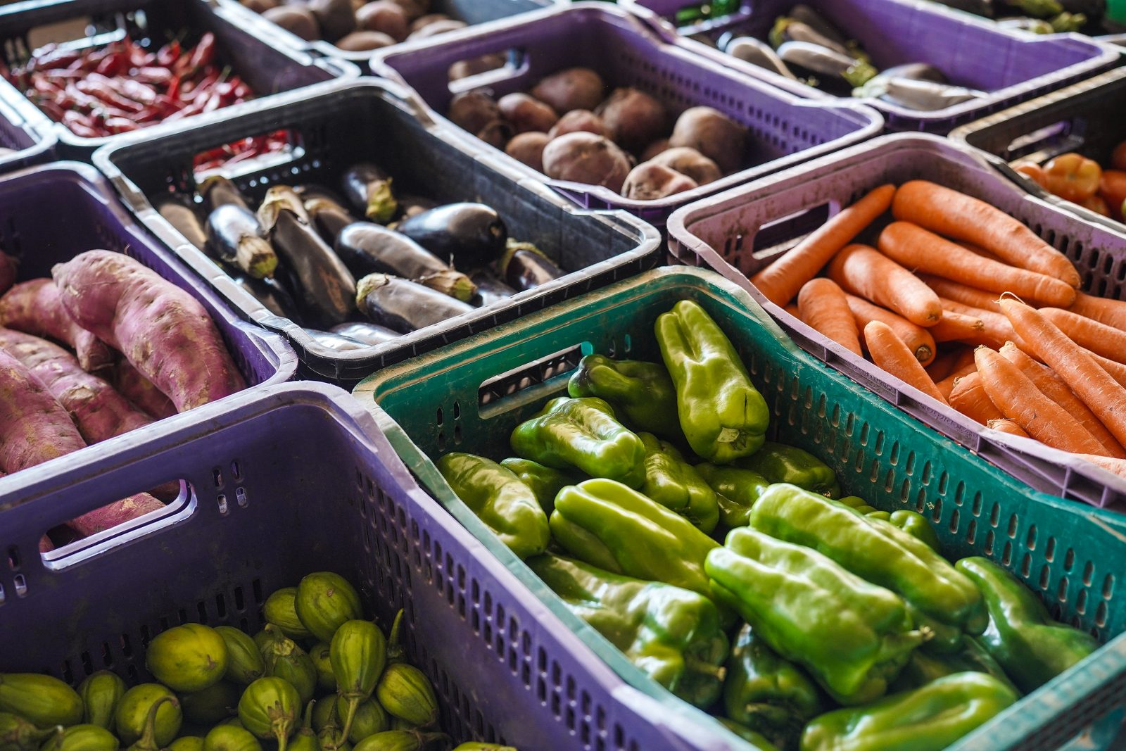 Caixas de plástico com legumes e verduras, como pimentões, cenouras e berinjelas